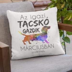 Párna az igazi tacskó gazdik márciusban születnek