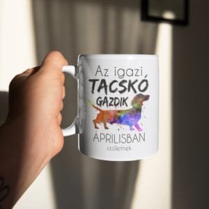 Bögre az igazi tacskó gazdik áprilisban születnek