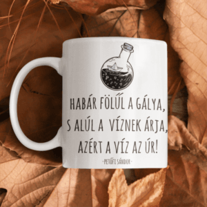 Petőfi Sándor a víz az úr bögre